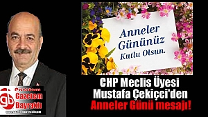 CHP Meclis Üyesi Mustafa Çekiçci'den Anneler Günü mesajı