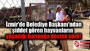 İzmir'de Belediye Başkanı'ndan şiddet gören hayvanların yaşadığı barınağa destek sözü