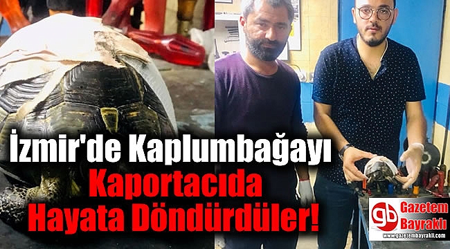İzmir'de Kaplumbağayı Kaportacıda Hayata Döndürdüler