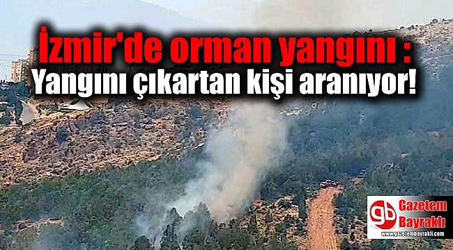 İzmir'de orman yangını : Yangını çıkartan kişi aranıyor