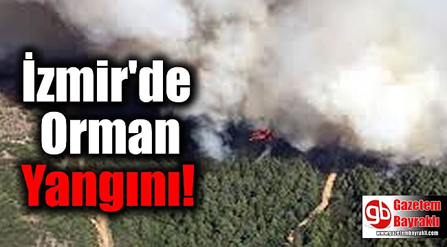 İzmir'de Orman Yangını