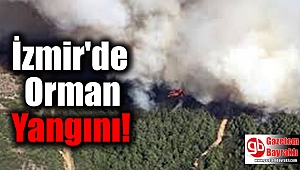 İzmir'de Orman Yangını