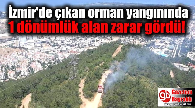 İzmir'de çıkan orman yangınında 1 dönümlük alan zarar gördü