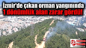 İzmir'de çıkan orman yangınında 1 dönümlük alan zarar gördü
