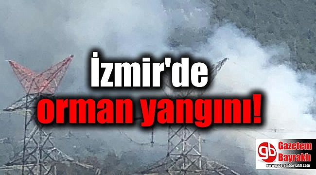 İzmir'de orman yangını