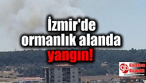 İzmir'de ormanlık alanda yangın