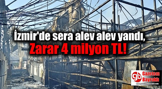 İzmir'de sera alev alev yandı, zarar 4 milyon TL