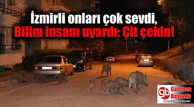 İzmirli onları çok sevdi, bilim insanı uyardı: Çit çekin