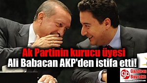 Ak Partinin kurucu üyesi Ali Babacan AKP'den istifa etti