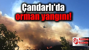 Çandarlı'da orman yangını