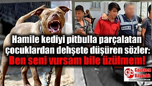 Hamile kediyi pitbulla parçalatan çocuklardan dehşete düşüren sözler: Ben seni vursam bile üzülmem