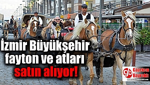 İzmir Büyükşehir fayton ve atları satın alıyor