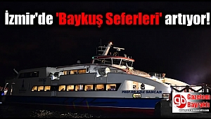 İzmir'de 'Baykuş Seferleri' artıyor