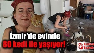 İzmir'de evinde 80 kedi ile yaşıyor