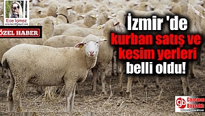 İzmir'de Kurban Satış ve Kesim yerleri belli oldu