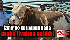 İzmir'de kurbanlık dana araba fiyatına satıldı