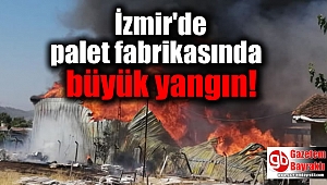 İzmir'de palet fabrikasında büyük yangın