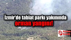 İzmir'de tabiat parkı yakınında orman yangını