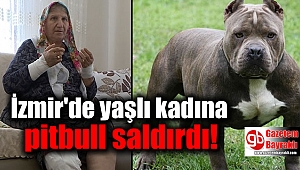 İzmir'de yaşlı kadına pitbull saldırdı