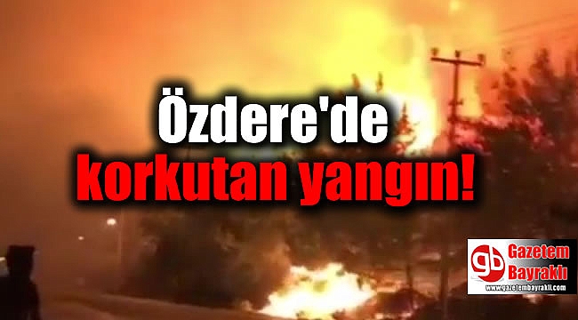 Özdere'de korkutan yangın
