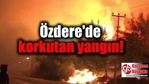 Özdere'de korkutan yangın