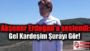 Akşener Erdoğan'a seslendi: Gel Kardeşim Şurayı Gör