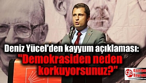 Deniz Yücel'den kayyum açıklaması: 