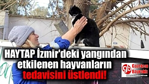 HAYTAP İzmir'deki yangından etkilenen hayvanların tedavisini üstlendi