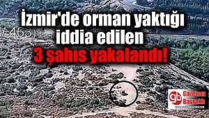 İzmir'de orman yaktığı iddia edilen 3 şahıs yakalandı