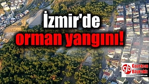 İzmir'de orman yangını