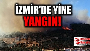 İzmir'de yine orman yangını