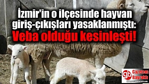 İzmir'in o ilçesinde hayvan giriş-çıkışları yasaklanmıştı: Veba olduğu kesinleşti
