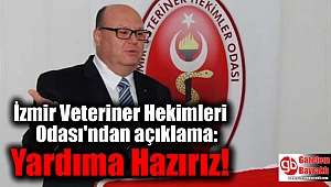  İzmir Veteriner Hekimleri Odası'ndan açıklama : Yardıma Hazırız