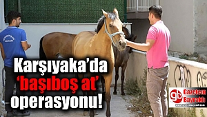 Karşıyaka’da ‘başıboş at’ operasyonu