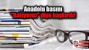 Anadolu basını 