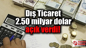 Dış Ticaret 2.50 milyar dolar açık verdi