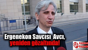 Ergenekon Savcısı Gültekin Avcı, yeniden gözaltında