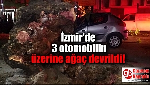 İzmir'de 3 otomobilin üzerine ağaç devrildi