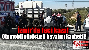 İzmir'de feci kaza: Otomobil sürücüsü hayatını kaybetti