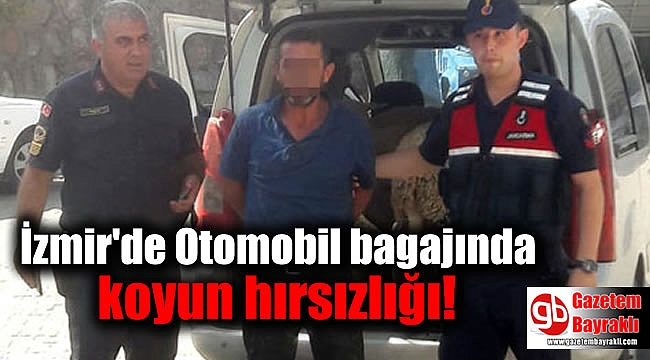 İzmir'de Otomobil bagajında koyun hırsızlığı
