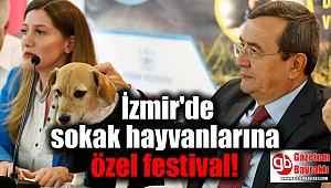 İzmir'de sokak hayvanlarına özel festival