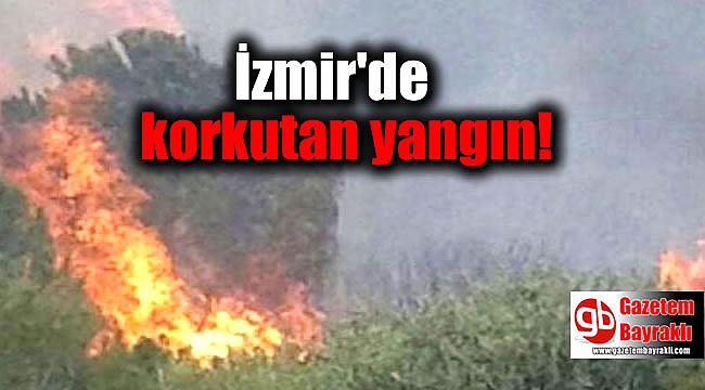 İzmir'de yangın