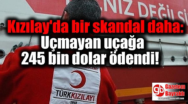 Kızılay'da bir skandal daha: Uçmayan uçağa 245 bin dolar ödendi