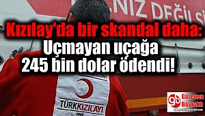 Kızılay'da bir skandal daha: Uçmayan uçağa 245 bin dolar ödendi