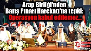 Arap Birliği'nden Barış Pınarı Harekatı'na tepki: Operasyon kabul edilemez