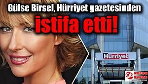 Gülse Birsel, Hürriyet gazetesinden istifa etti