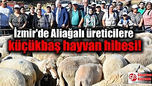 İzmir'de Aliağalı üreticilere küçükbaş hayvan hibesi