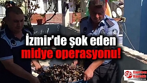 İzmir'de şok eden midye operasyonu