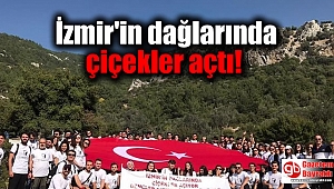 İzmir'in dağlarında çiçekler açtı