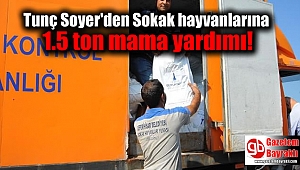 Tunç Soyer'den Sokak hayvanlarına 1.5 ton mama yardımı